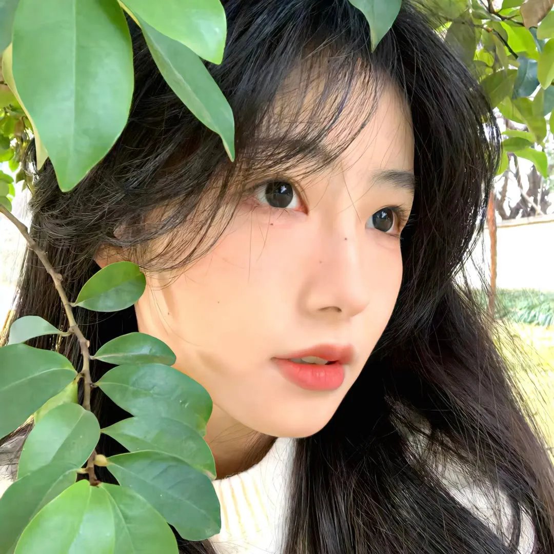 切罗基大街的房子